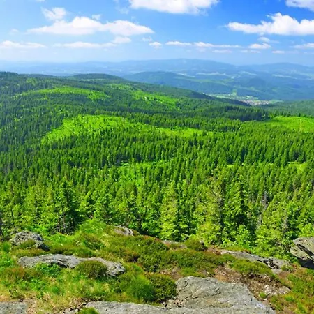Hirschkopf * Mauth